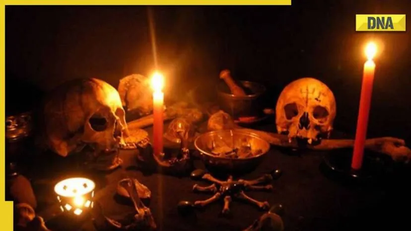 I Want to Sell My Soul to the Illuminati Brotherhood for Wealth and Fame